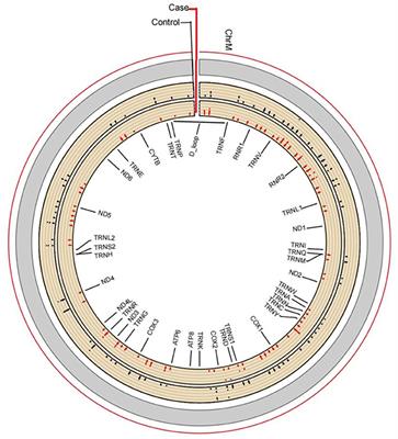 Impact of chronic benzene poisoning on aberrant mitochondrial DNA methylation: A prospective observational study